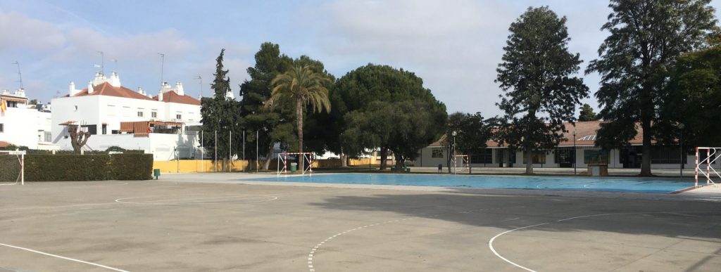 Patio de pistas del colegio, con árboles altos y palmeras alrededor