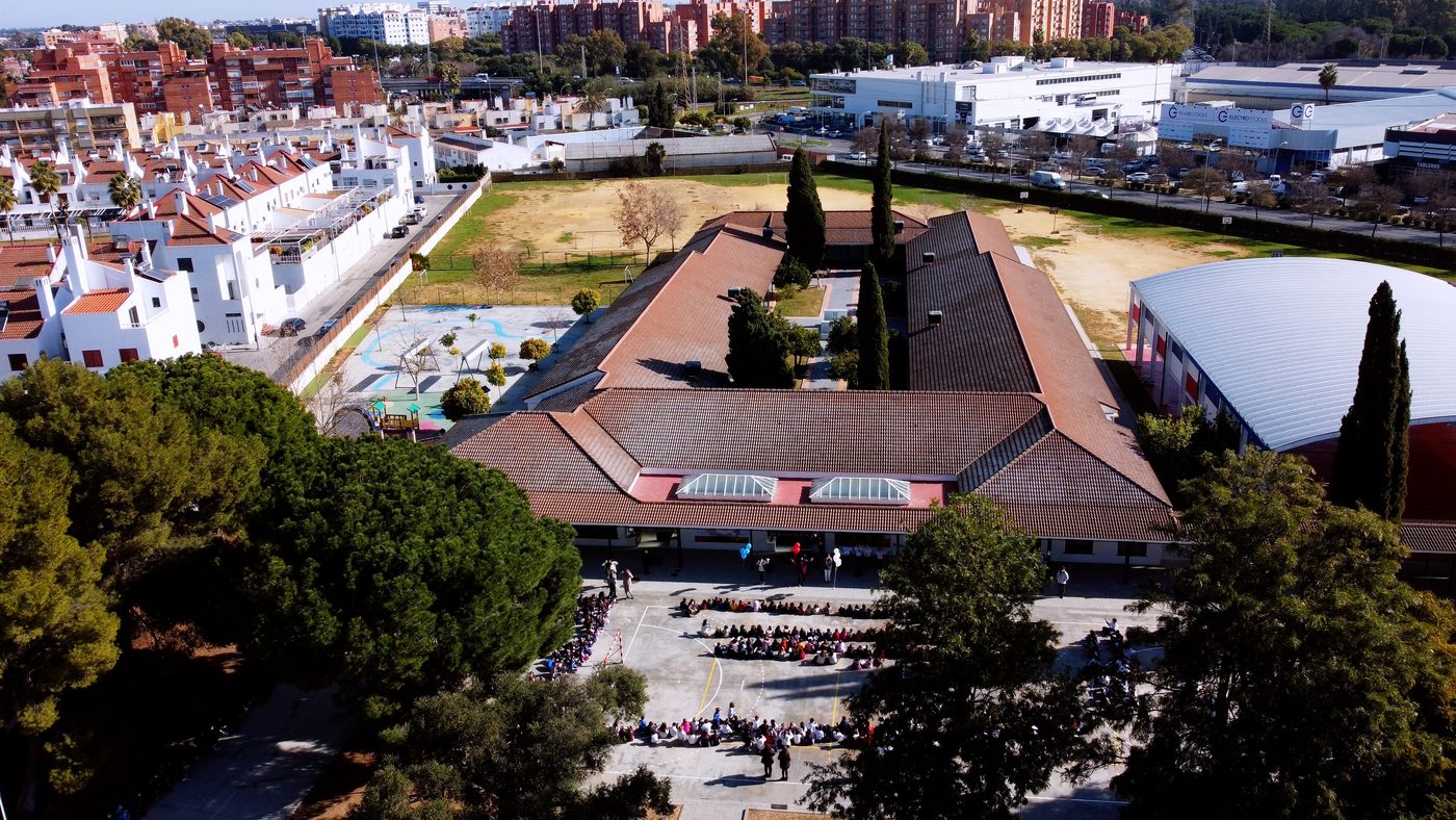 Imagen de portada de la página Escolarización